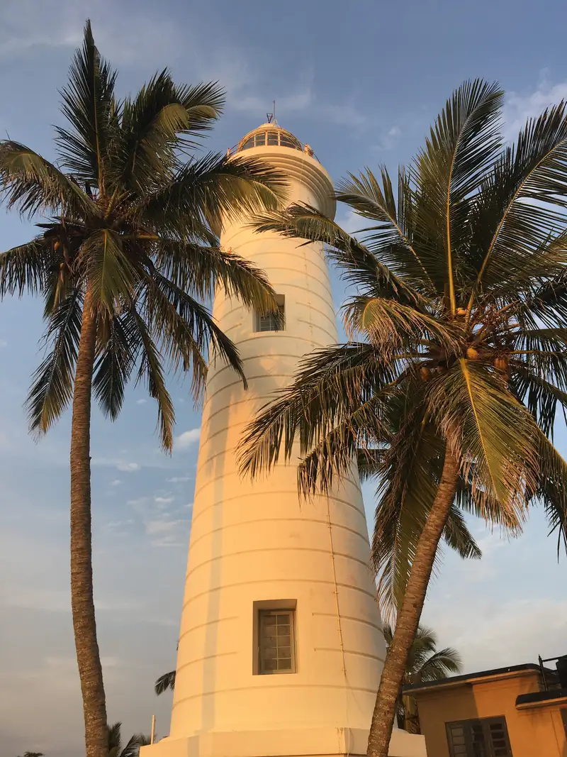 Galle Lighthouse between palm trees in warm sunlight