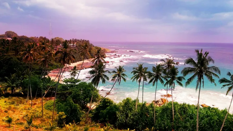 Soft evening light on the palms and shore at Tangalle Beach